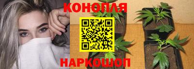 дживик Будённовск