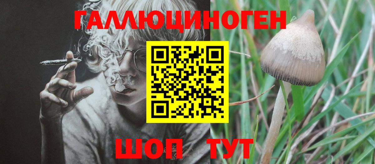 Псилоцибиновые грибы мухоморы  Вход с VPN  Нефтекумск  Галлюциногенные грибы ЛСД 