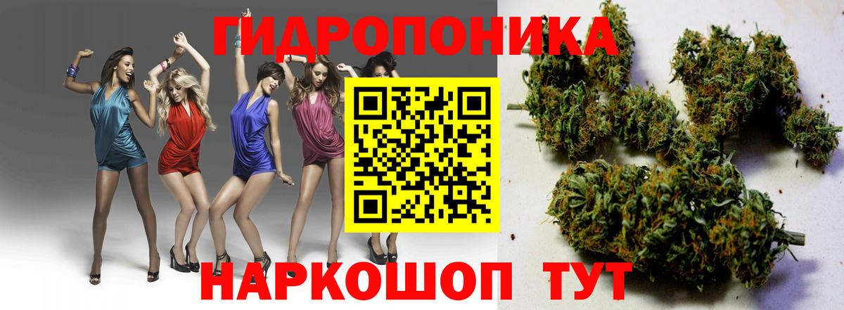Нефтекумск  Канабис план  Вход с VPN  Шишки марихуана ГИДРОПОН 