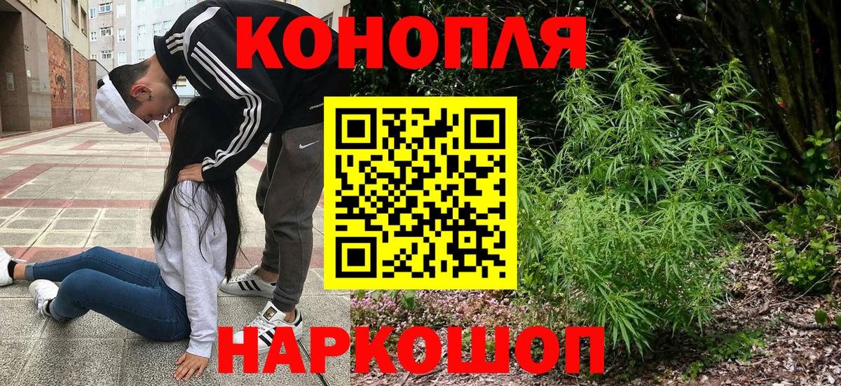 Бошки Шишки планчик Нефтекумск